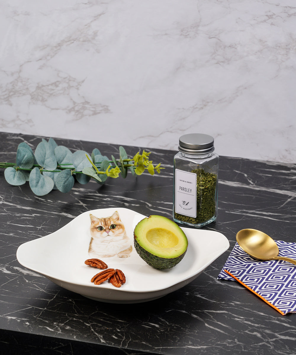 Pet Portrait Porcelain Square Plate - British Shorthair(Golden) on table