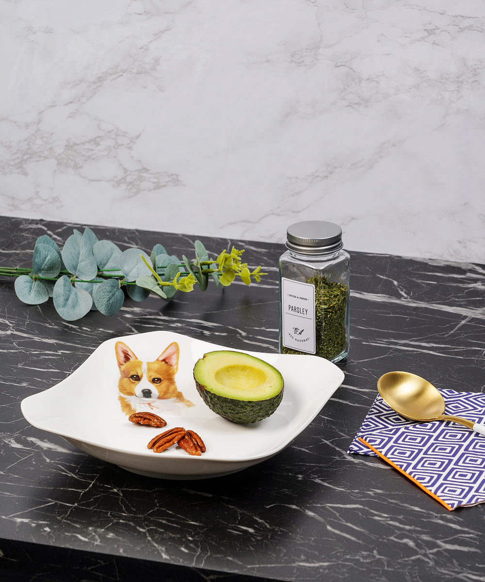 Pet Portrait Porcelain Square Plate - Corgi on table