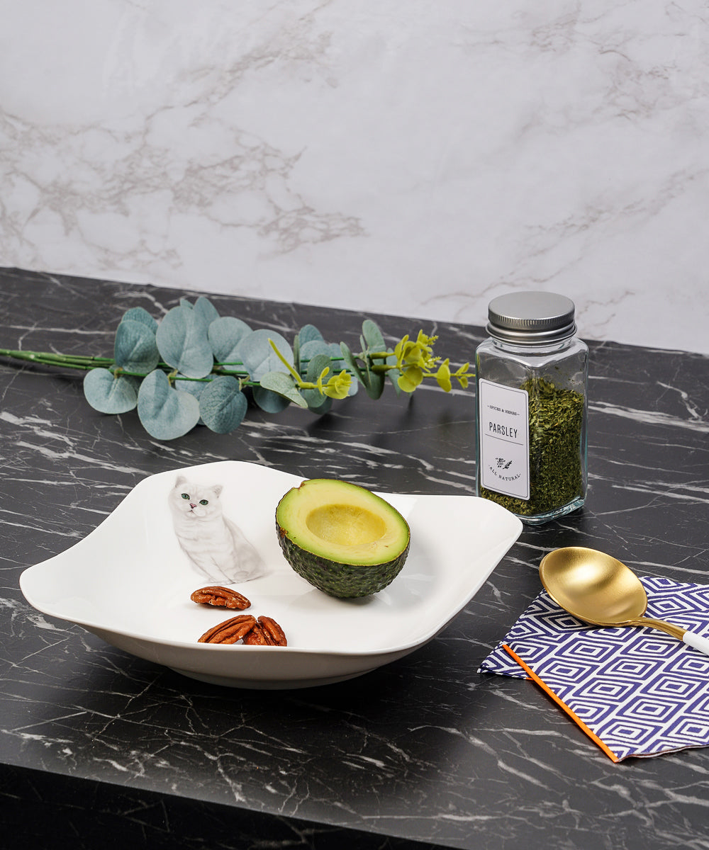 Pet Portrait Porcelain Square Plate - British Shorthair(Silver) on table