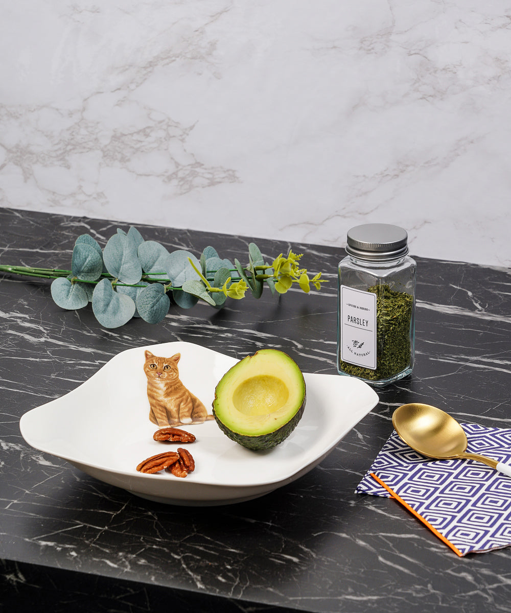 Pet Portrait Porcelain Square Plate - Orange Tabby on table