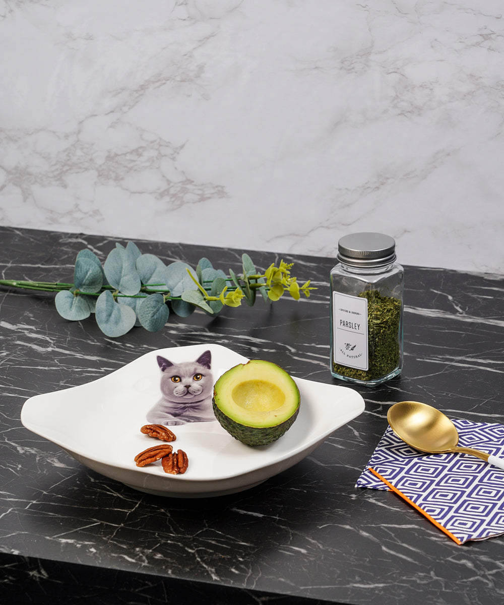 Pet Portrait Porcelain Square Plate - Chartreux on table