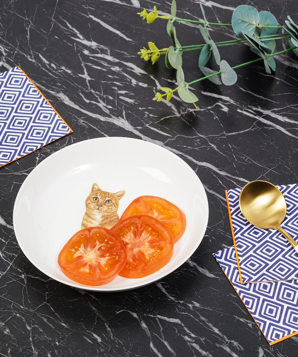 Pet Portrait Porcelain Dinnerware 11-Piece Set - Orange Tabby