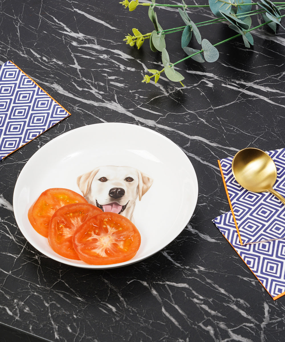 Labrador 8 inch plate on kitchen counter with food