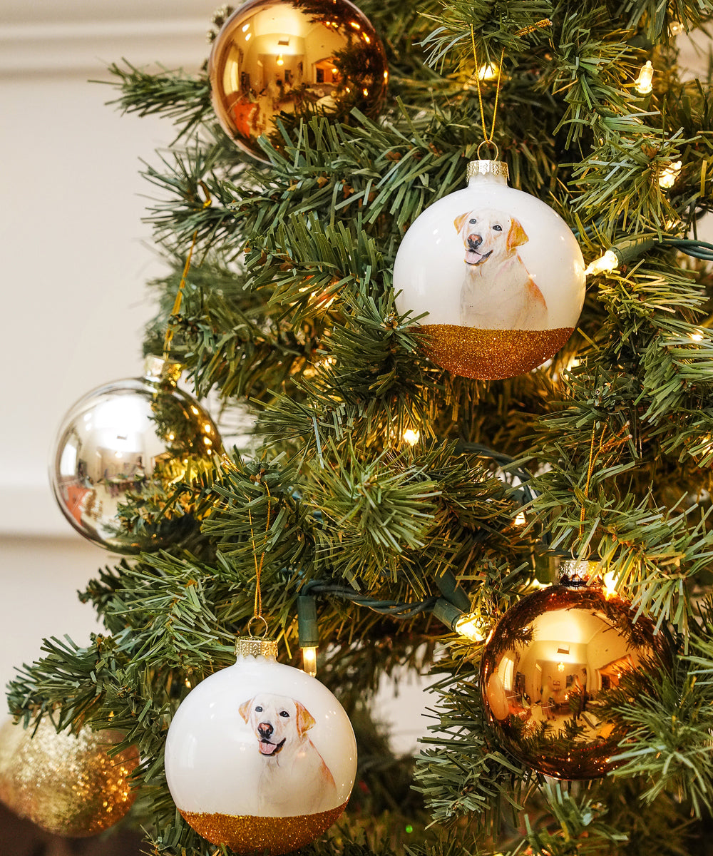 Pet Portrait 9 Pcs Christmas Ball Ornaments Set - Labrador(Cream) on tree