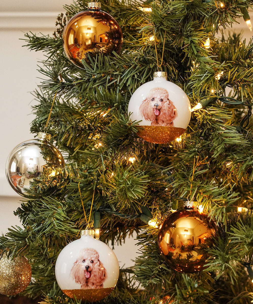 Pet Portrait 9 Pcs Christmas Ball Ornaments Set - Poodle(Red) on tree