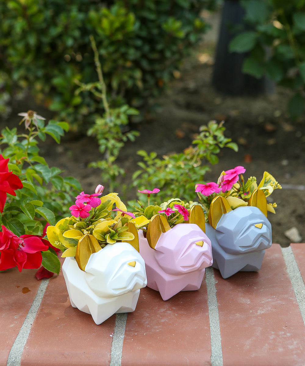 French Bulldog Color Small Plant Pot Collection