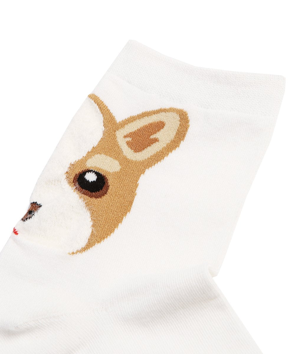 Corgi Portrait on Heel Socks close up