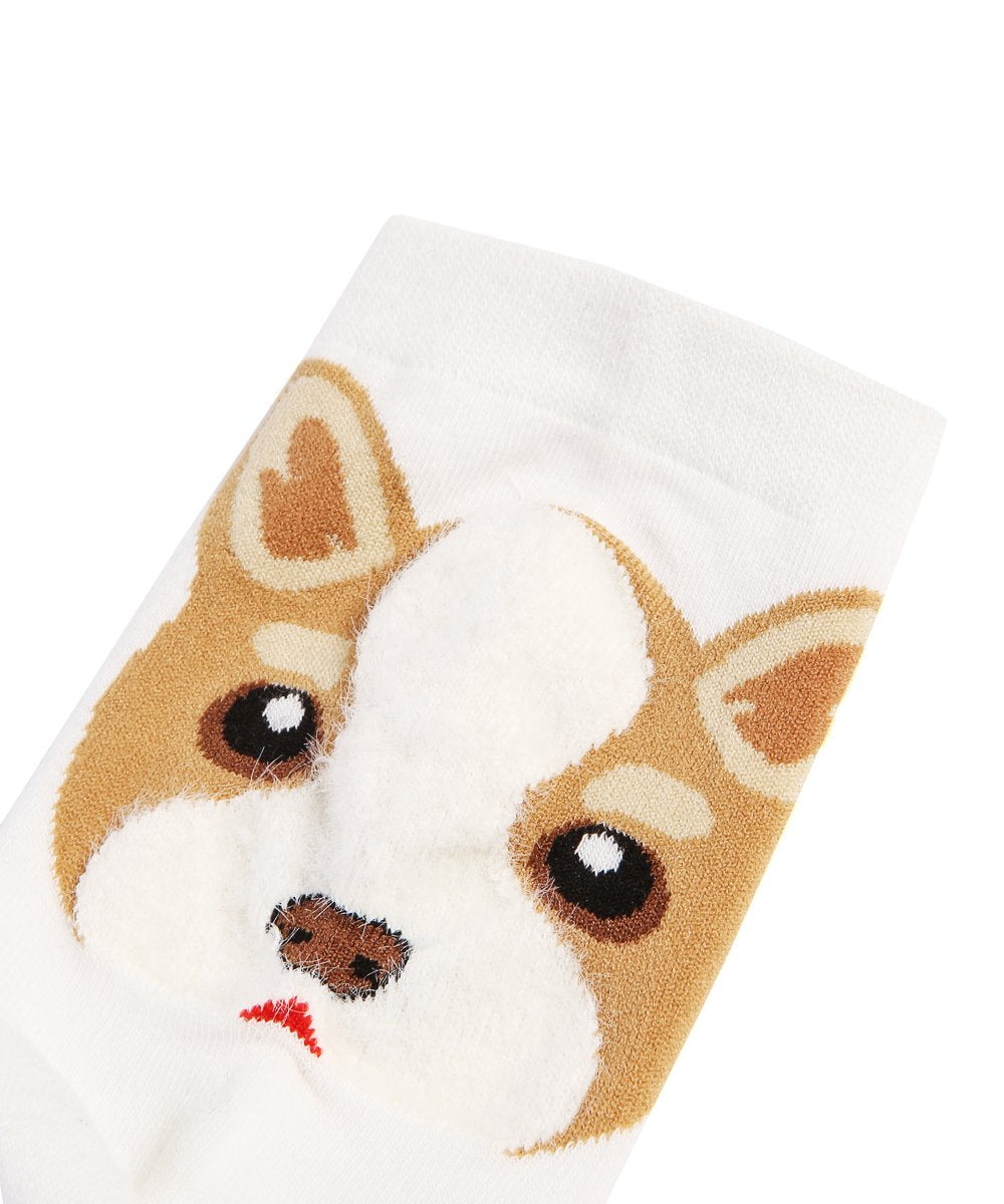 Corgi Portrait on Heel Socks close up