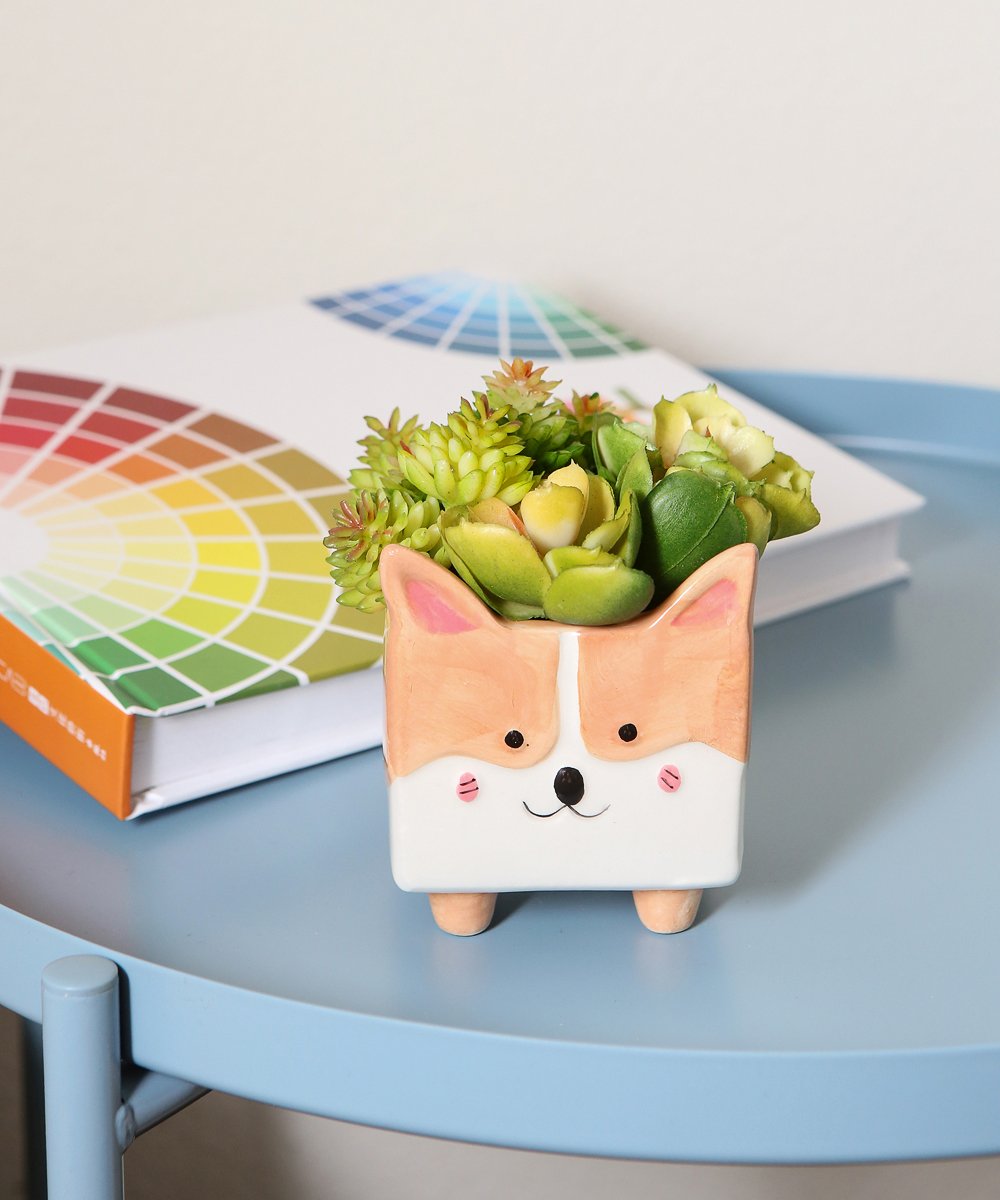 Smiling Corgi Square Plant Pot on table
