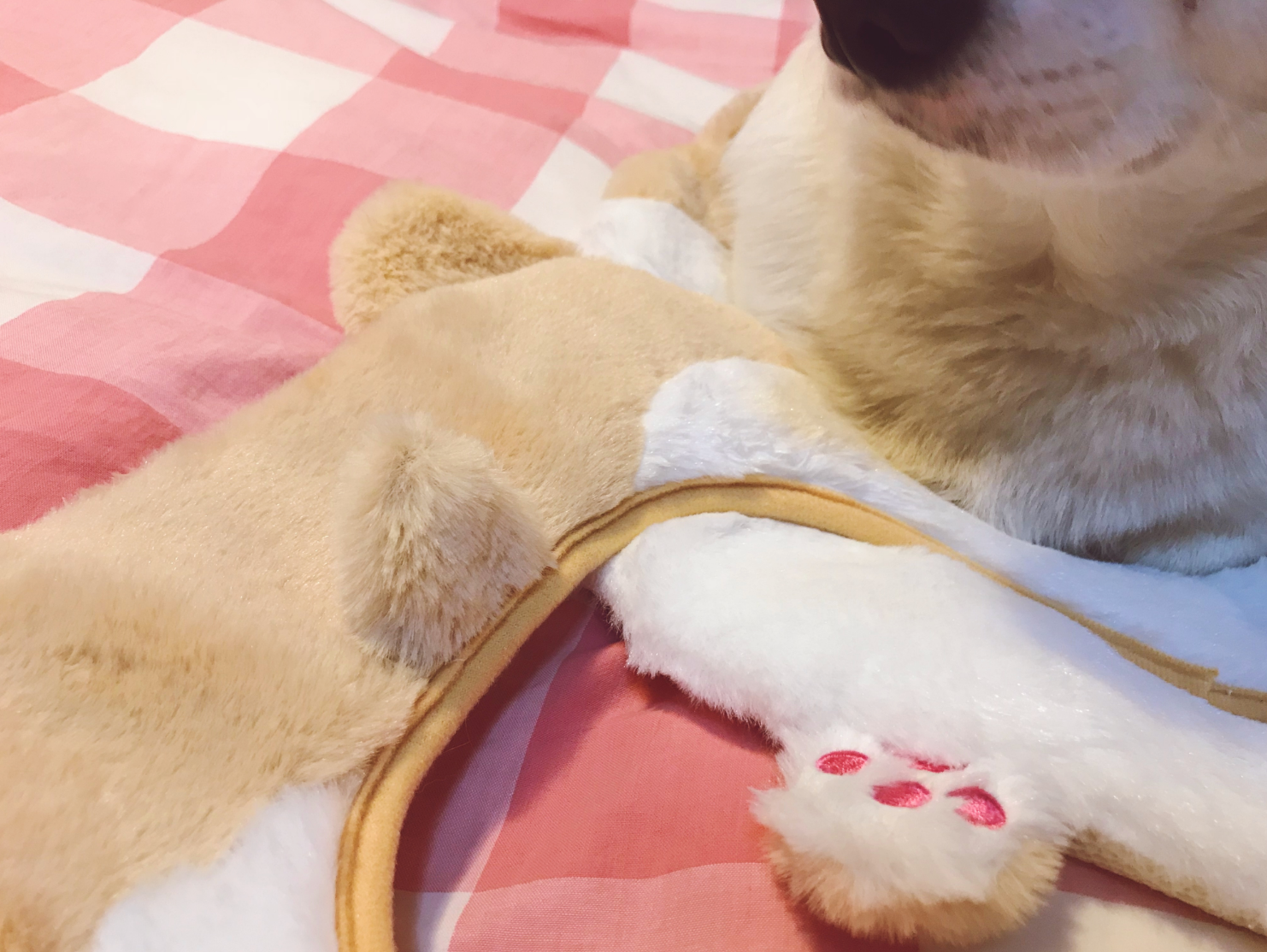 Corgi Butt Toilet Seat Cover close up of product