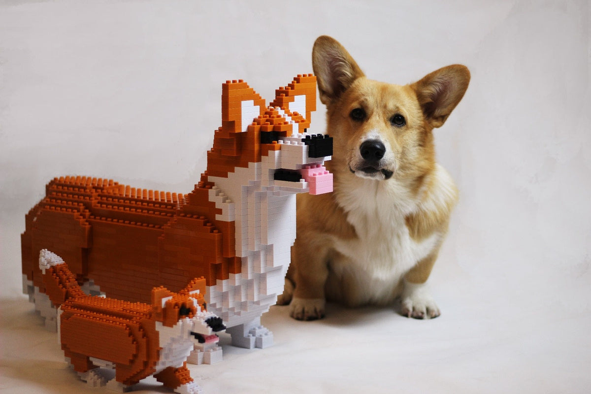 JEKCA Welsh Corgi 01C-M02 - NAYOTHECORGI