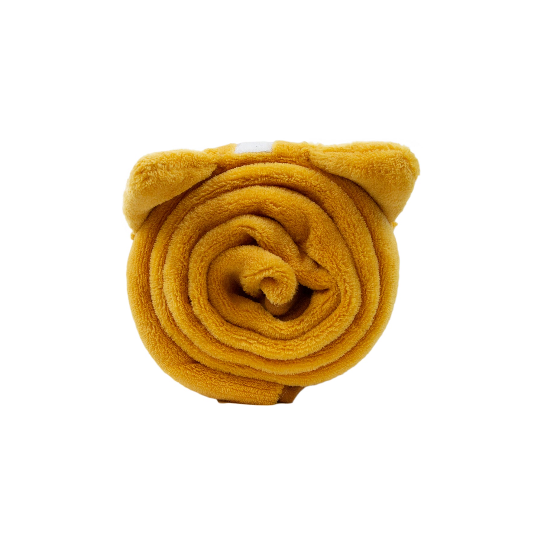 Corgi Plushy Blanket top view