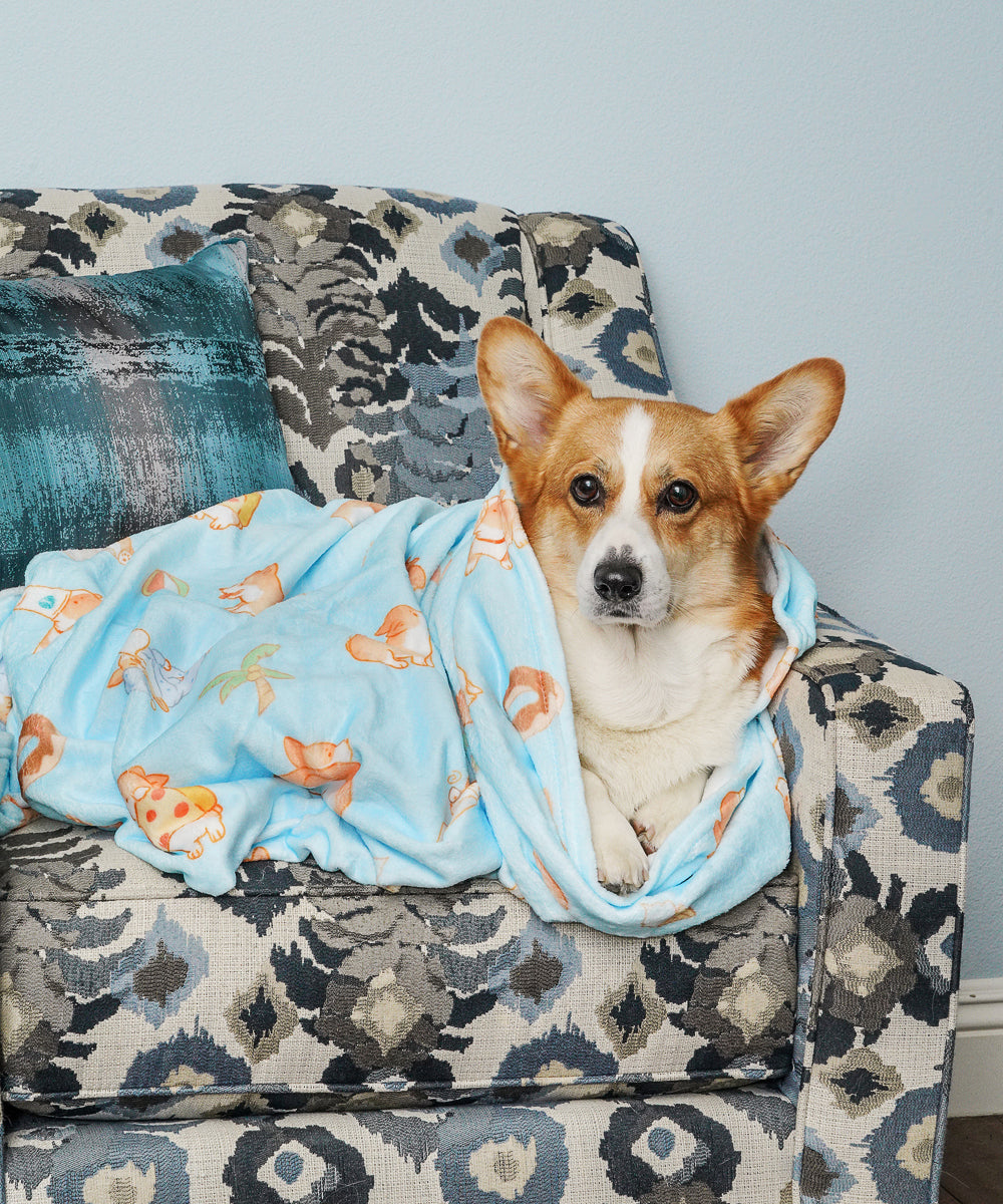 Super Soft Corgi Fleece Blanket on Corgi
