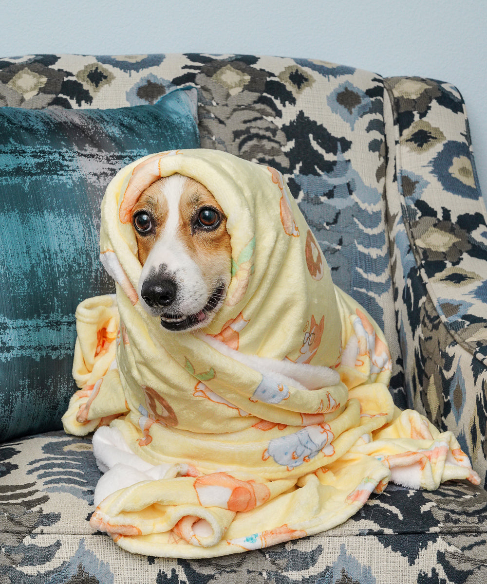 Super Soft Corgi Fleece Blanket on Corgi