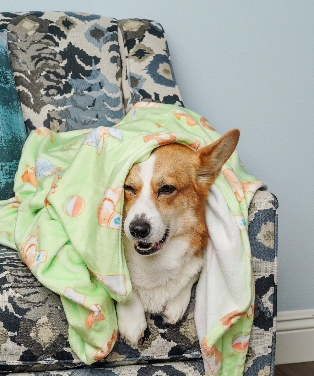 Super Soft Corgi Fleece Blanket