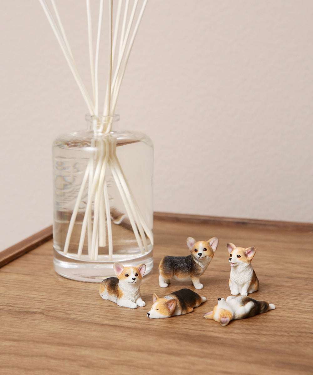 Mini Corgi Puppies Set