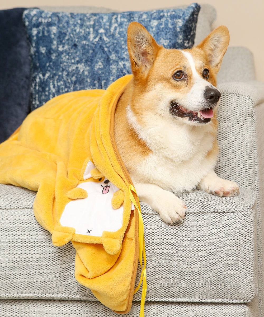 Corgi Plushy Blanket on Corgi