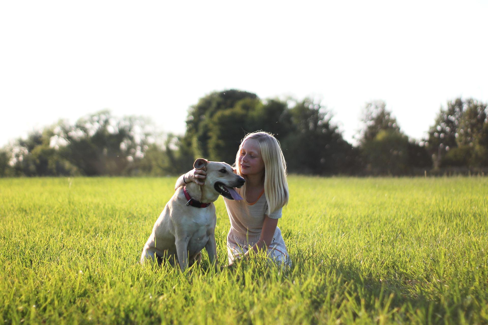 Labrador Retriever: The Energy Level & Personality Traits of This Family Dog