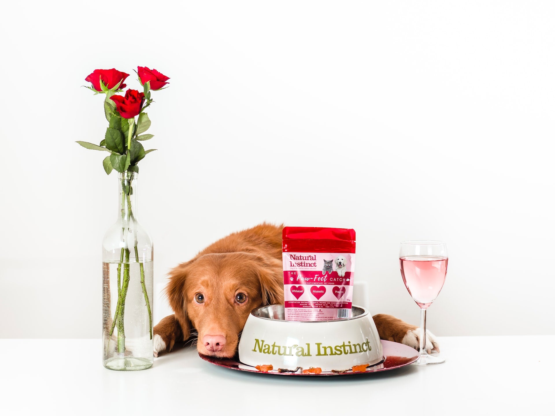 Valentine's Day: How to Show Your Dog You Love Them