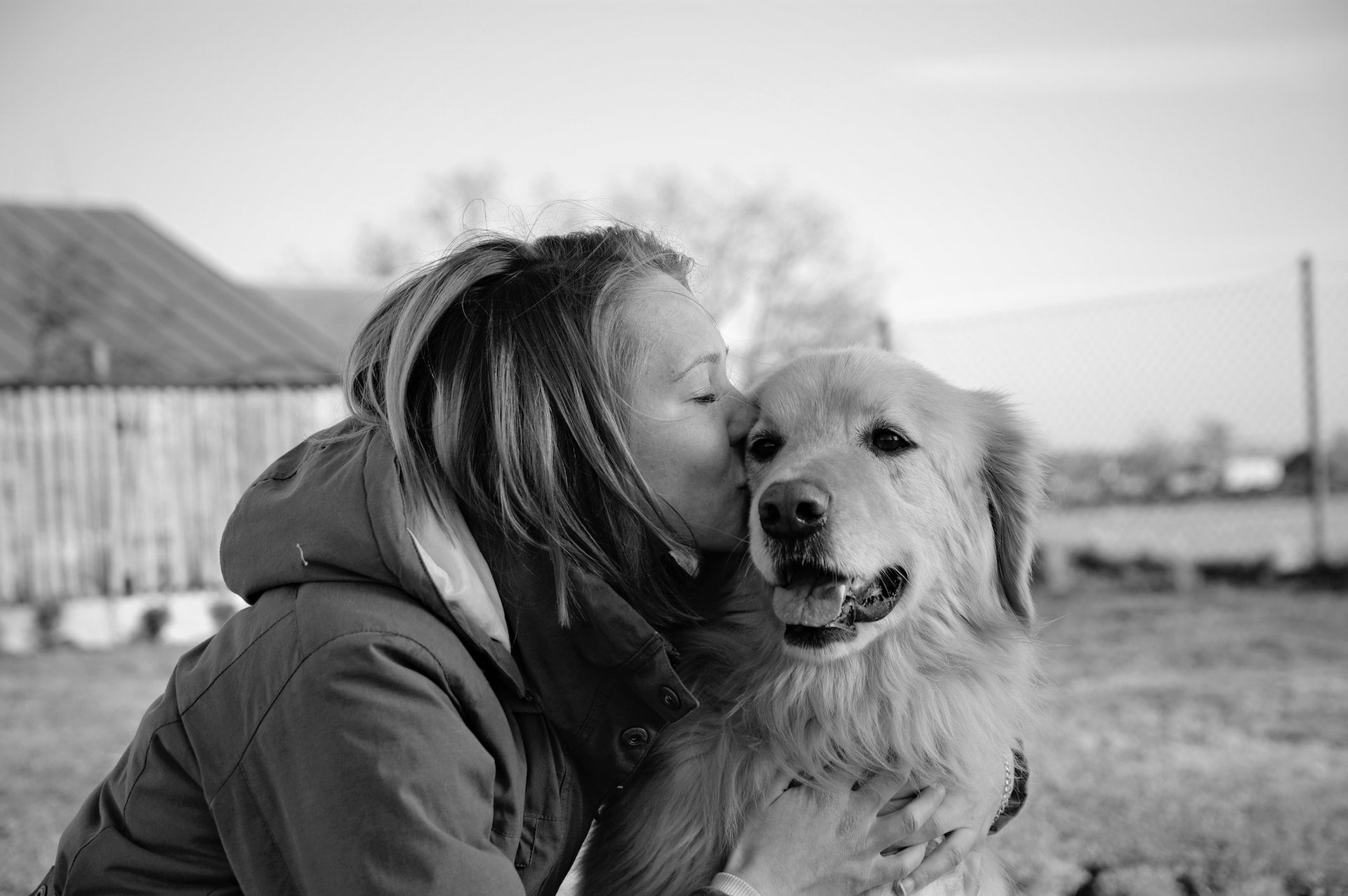 Why Golden Retrievers Make The Ideal Family Dogs