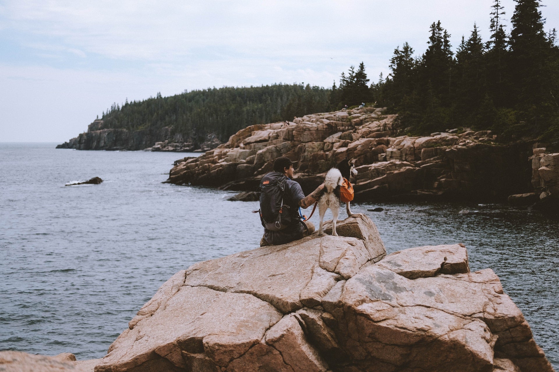 Husky Adventures: Exploring The Great Outdoors With Your Furry Friend