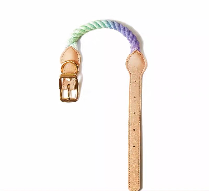 [W-petzone]-  Maogoublue |Woof Rope Rainbow Dog Collar