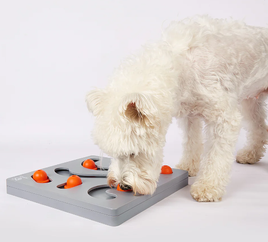 [FOFOS]-Brain Game Treat Puzzle Dog Toy