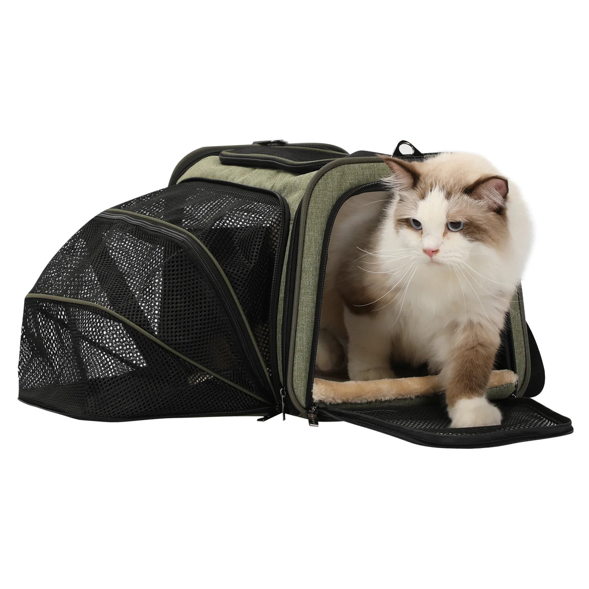[PETSFIT]-Cat Carrier / Dog Carrier Expandable (S - Green)