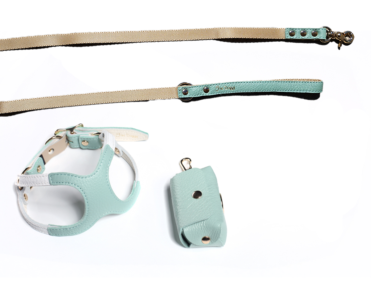 Green Harness and Leash Set