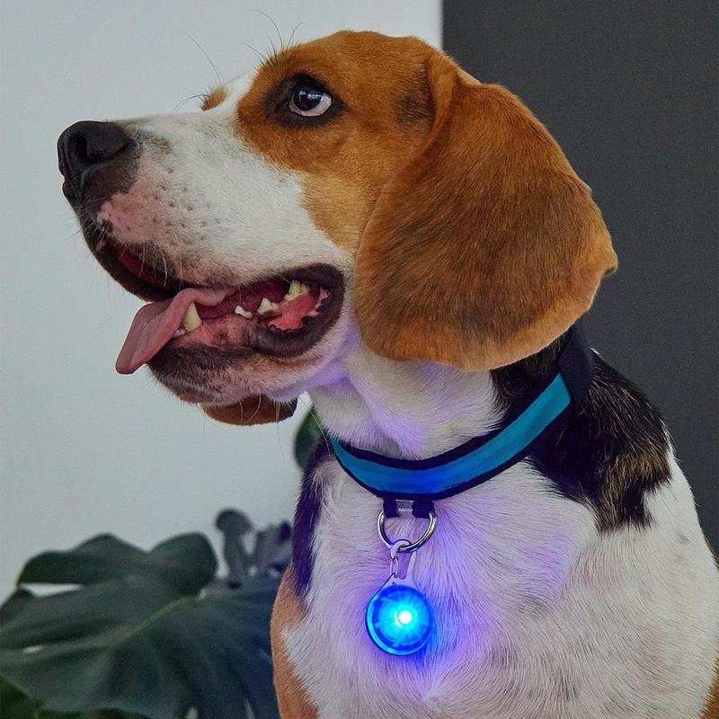 1 Piece Pet Pendant with LED Lights, Fun and Decorative Party Dog Collar Pendant for Small Puppies and Cats, Decorative Dogs Collar Necklace Charms, Pet Supplies, Great for Parties and Night Walking