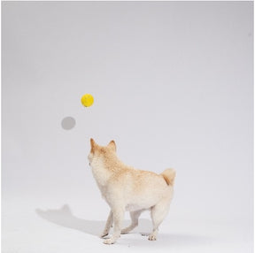[FOFOS]- Durable Dog Yellow Ball (4pk)