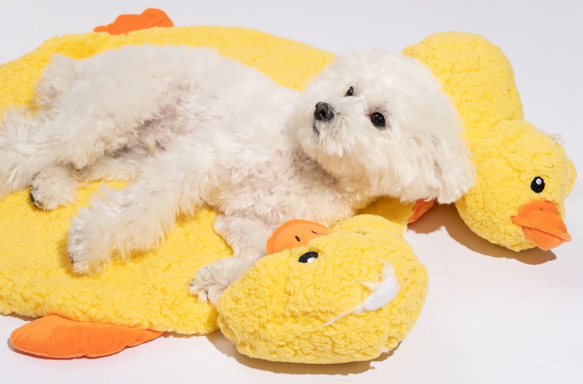 [FOFOS]- Cuddle Duck Heartbeat Toy & Mat