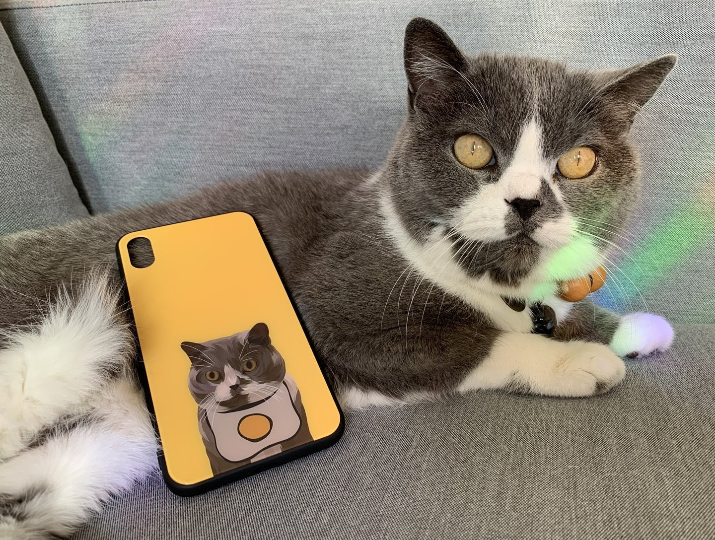 Custom Phone Case - Glass Finish next to pet