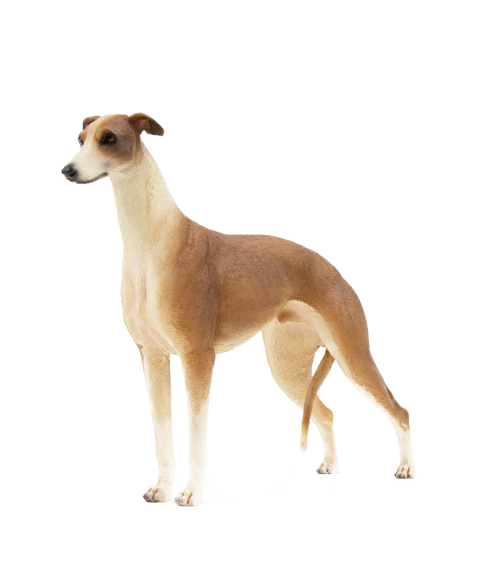 Custom Greyhound Statue 1:6