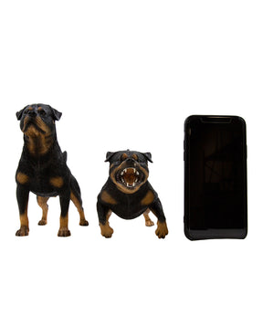 Rottweiler Statue 1:6 collection next to phone for size comparison