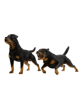 Rottweiler Statue 1:6 collection
