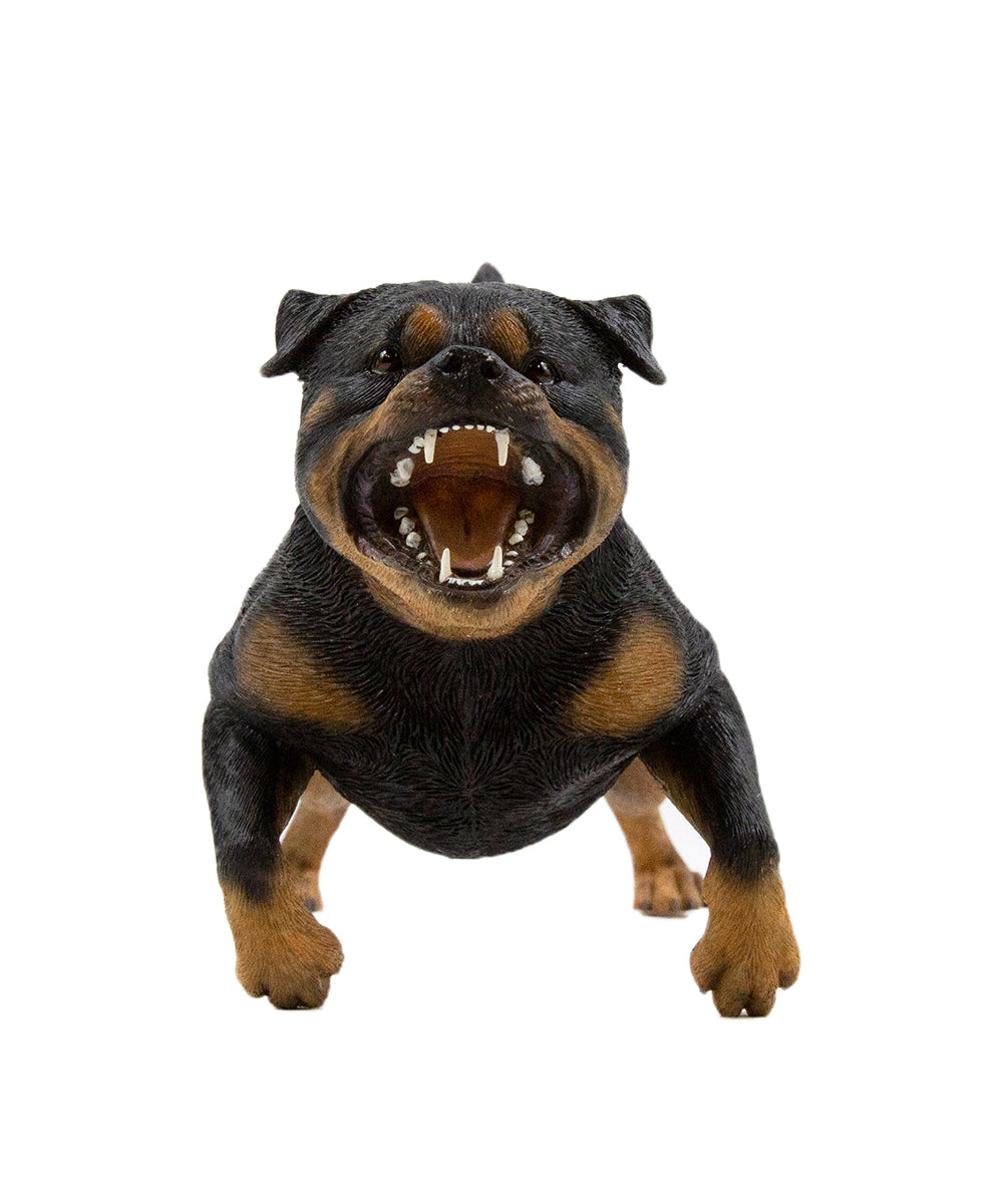 Rottweiler Statue 1:6 front view
