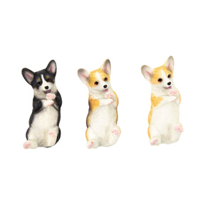 Playing Corgi Magnet (Upward Facing) - Cream and White