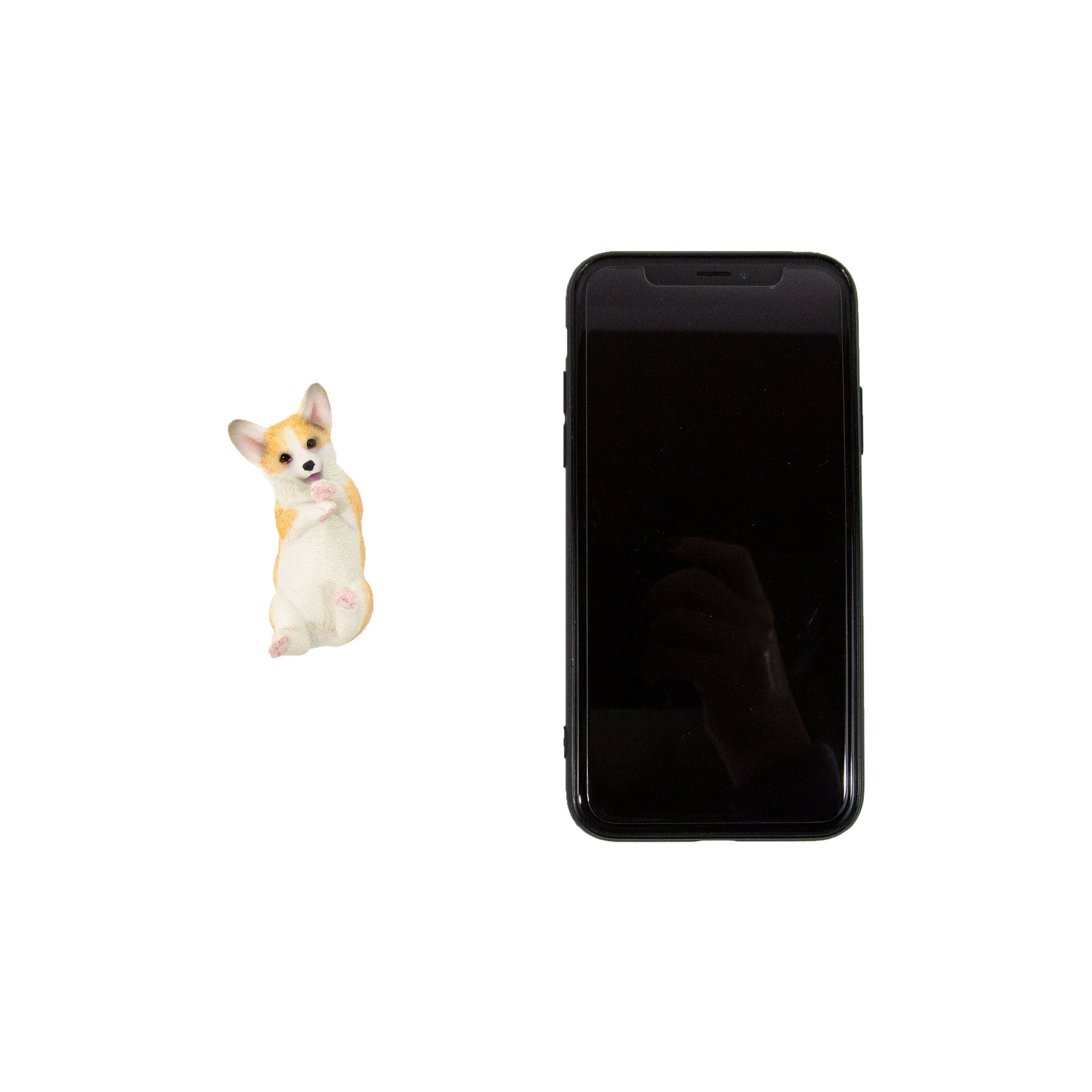 Playing Corgi Magnet (Upward Facing) - Cream and White next to phone for size comparison