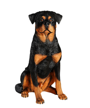 Rottweiler Statue 1:1 Real Size front view