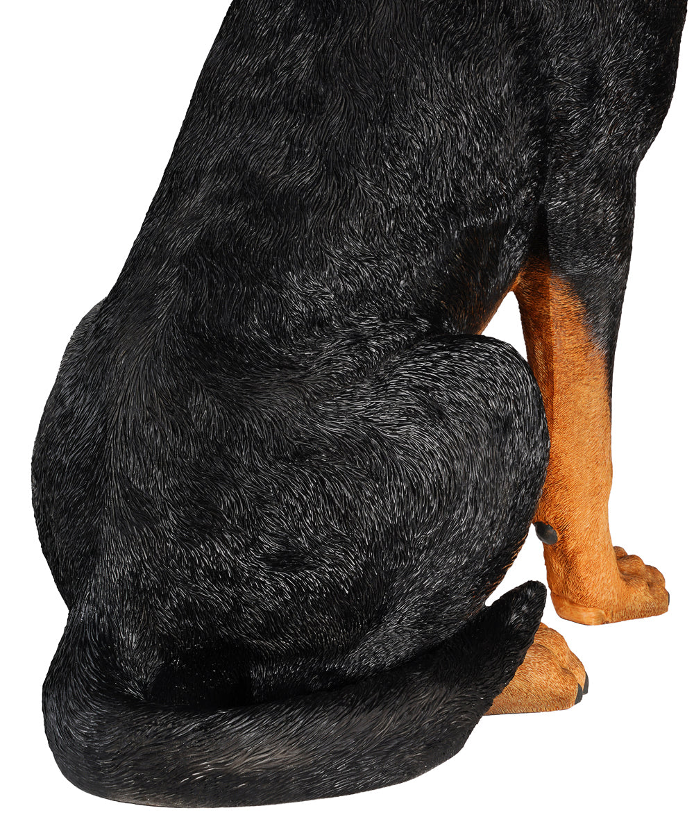 Rottweiler Statue 1:1 Real Size close up