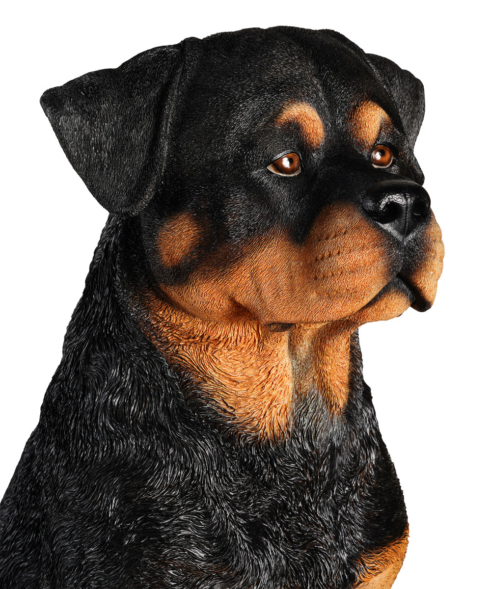 Rottweiler Statue 1:1 Real Size close up