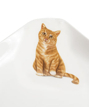 Pet Portrait Porcelain Square Plate - Orange Tabby