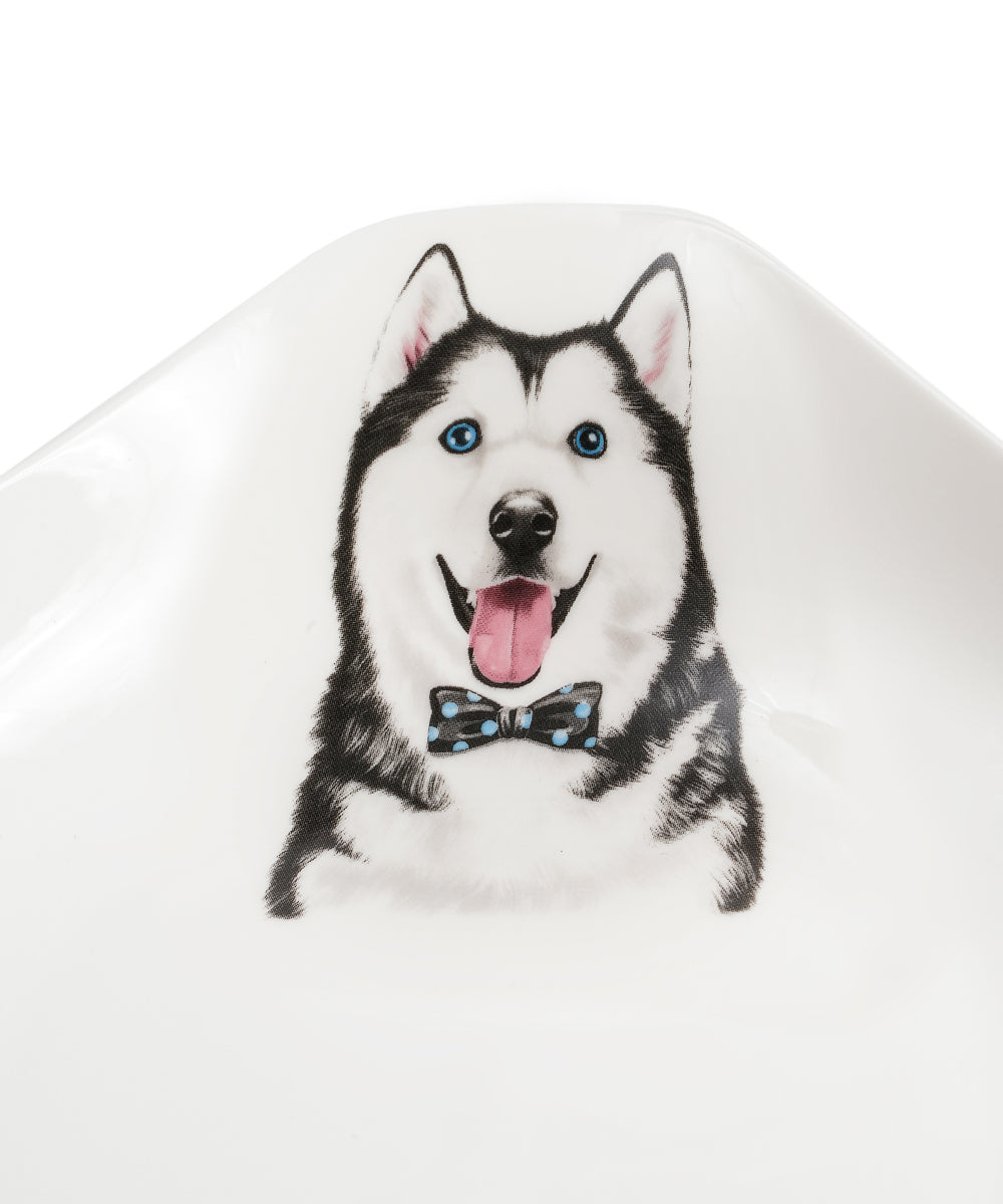 Pet Portrait Porcelain Square Plate - Husky
