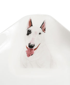 Pet Portrait Porcelain Square Plate - Bull Terrier