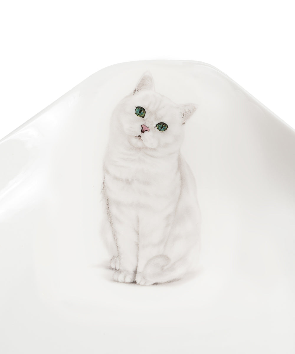 Pet Portrait Porcelain Square Plate - British Shorthair(Silver)