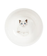 Pet Portrait Porcelain All Purpose Bowl - Ragdoll