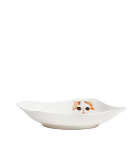 Pet Portrait Porcelain Square Plate - Exotic Shorthair