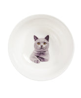 Pet Portrait Porcelain All Purpose Bowl - Chartreux