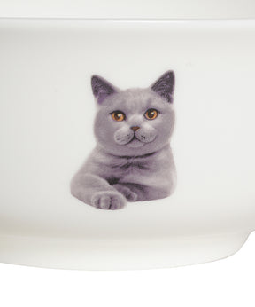 Pet Portrait Porcelain All Purpose Bowl - Chartreux